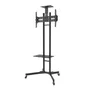 Aisens Soporte de Suelo FT70TE-035 para TV de 37-70 pulgadas con Ruedas